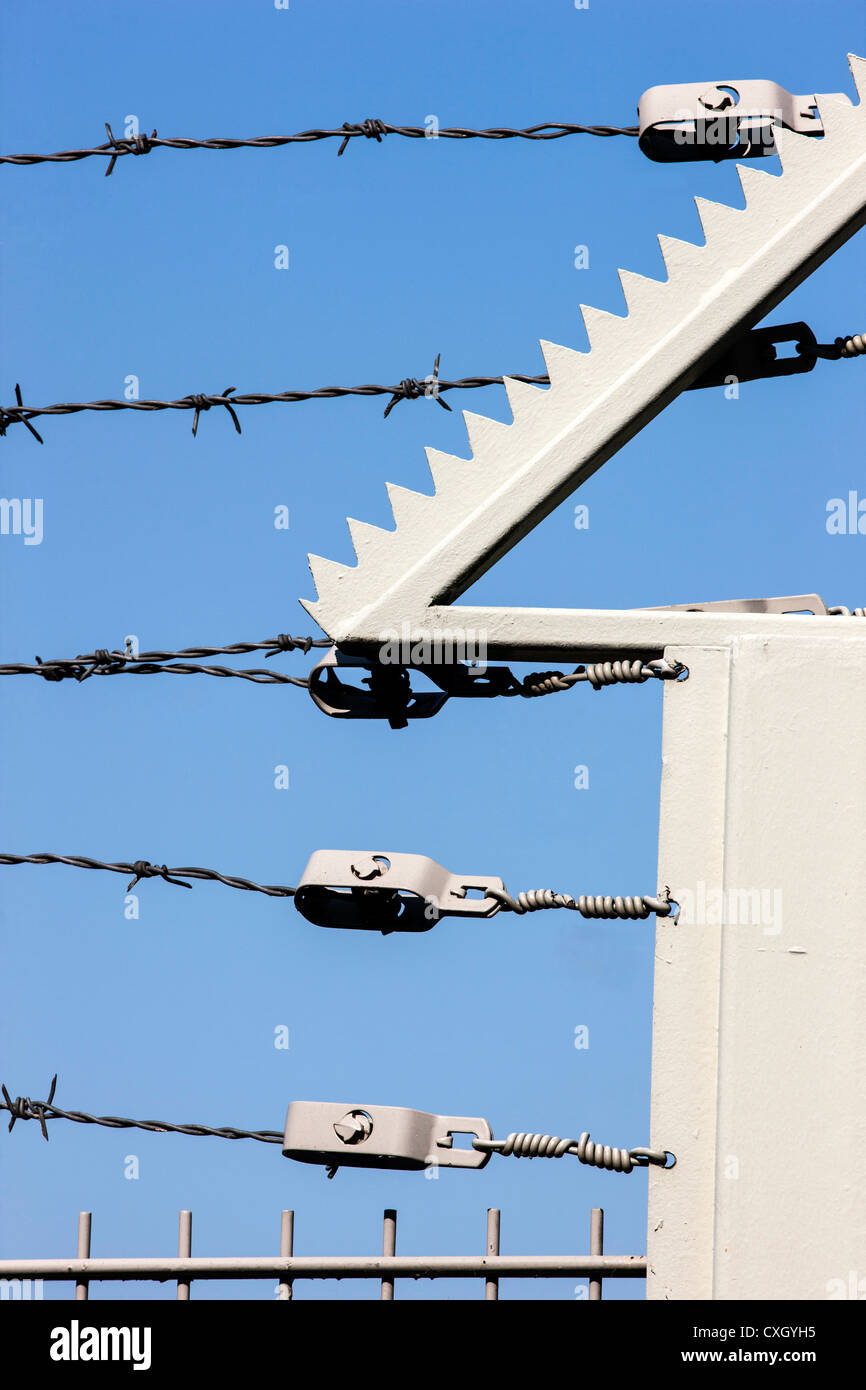 Barbed Shield High Resolution Stock Photography and Images - Alamy