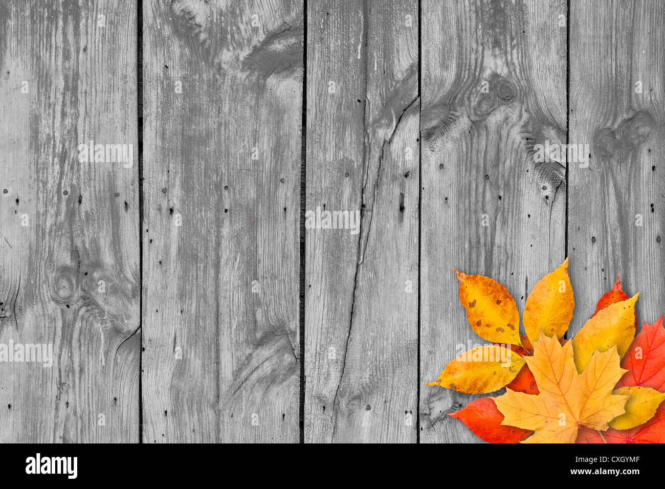 Autumn leaves over wooden background with copy space Stock Photo