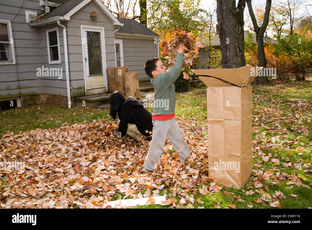7 Year Old Boy Cleaning The Backyard And Putting Leaves Into A Bag Stock Photo Alamy