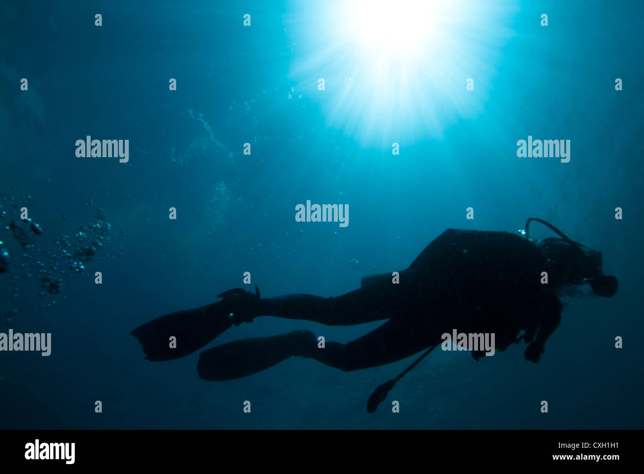 Scuba diver silhouette hi-res stock photography and images - Alamy