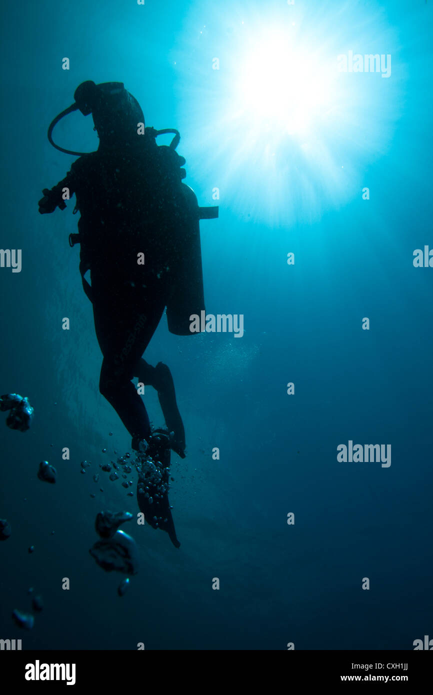 Silhouette of a scuba diver in blue water, back light and sun ball. Stock Photo
