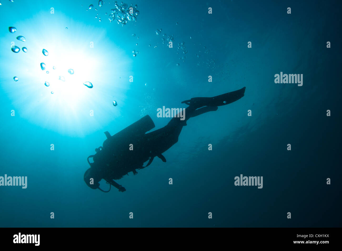 Diver in silhouette hi-res stock photography and images - Alamy