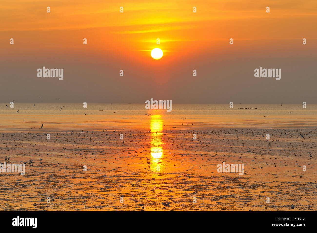 View sunset at the seaside Stock Photo