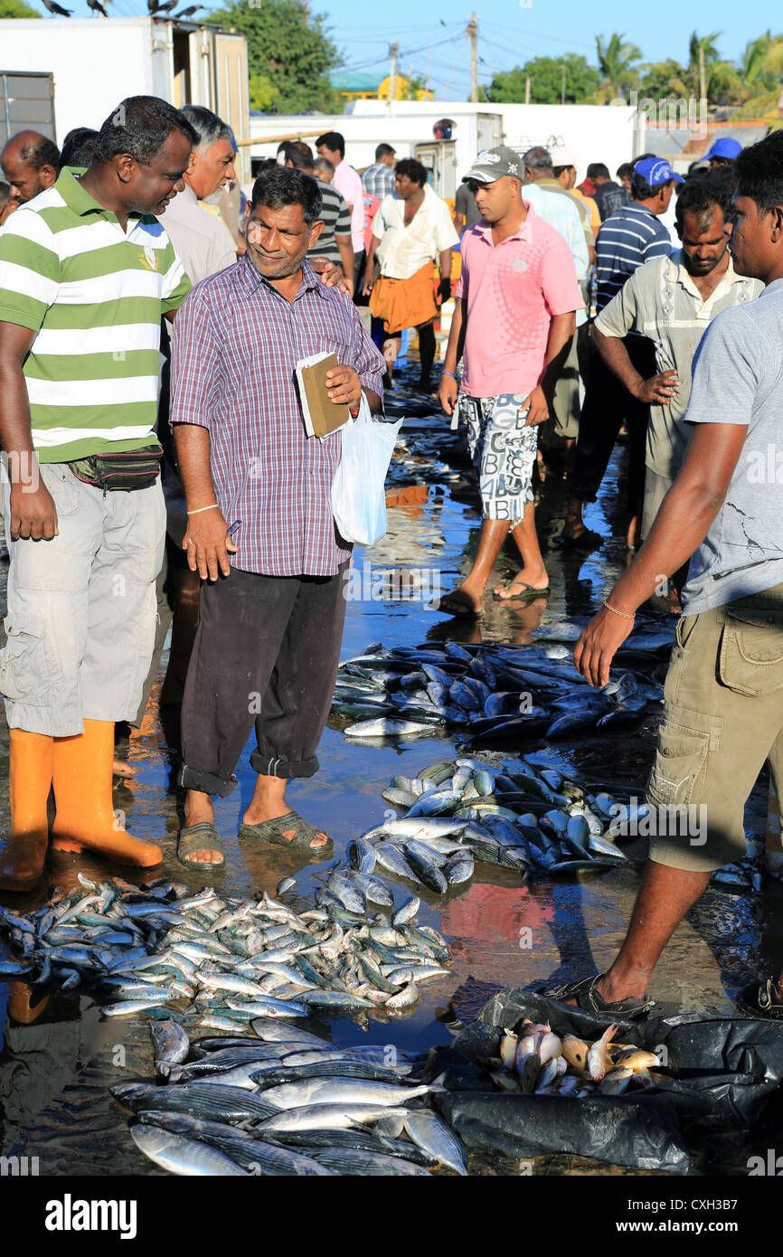 Sri Lankan fishermen and seafood buyers at the Back Bay beach wet market in Trincomalee, Sri Lanka. Stock Photo