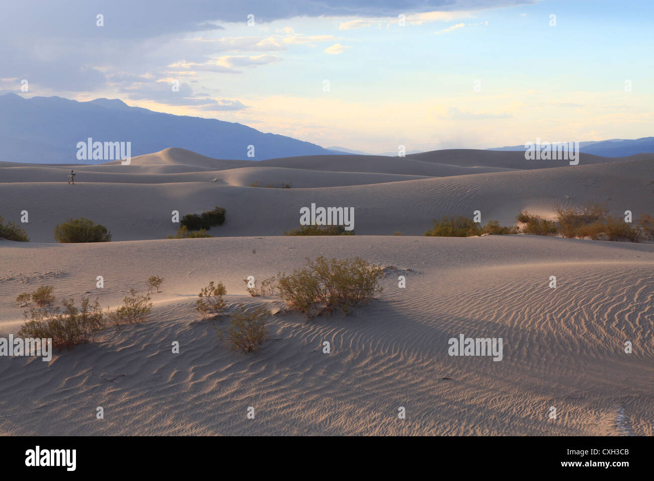 Eureka sand dunes Death Valley national park desert in Nevada, US Stock ...