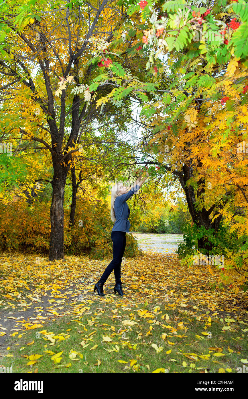 Young beautiful woman in autumn park Stock Photo - Alamy