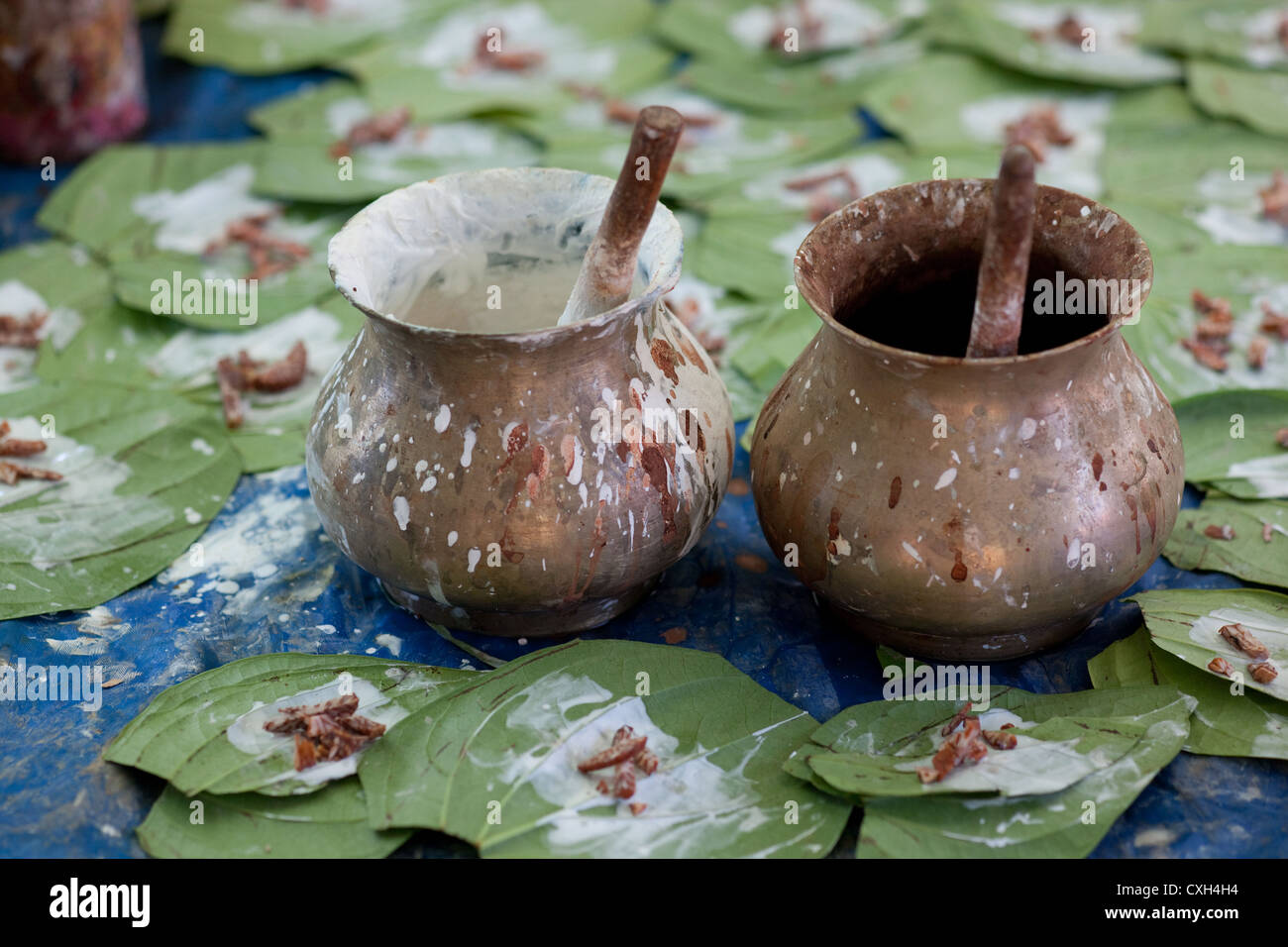 Betel leaves for making Betel Nut, commonly chewed amongst the local Burmese people Inle Lake Burma Myanmar Stock Photo