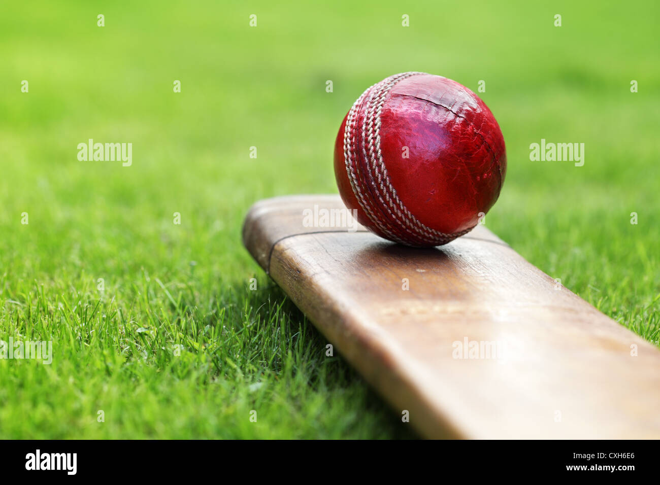 Cricket bat and ball Stock Photo