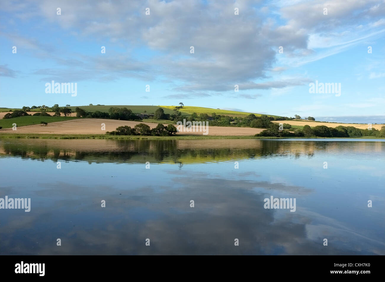 The view across the River Lynher from the St Germans estate Stock Photo