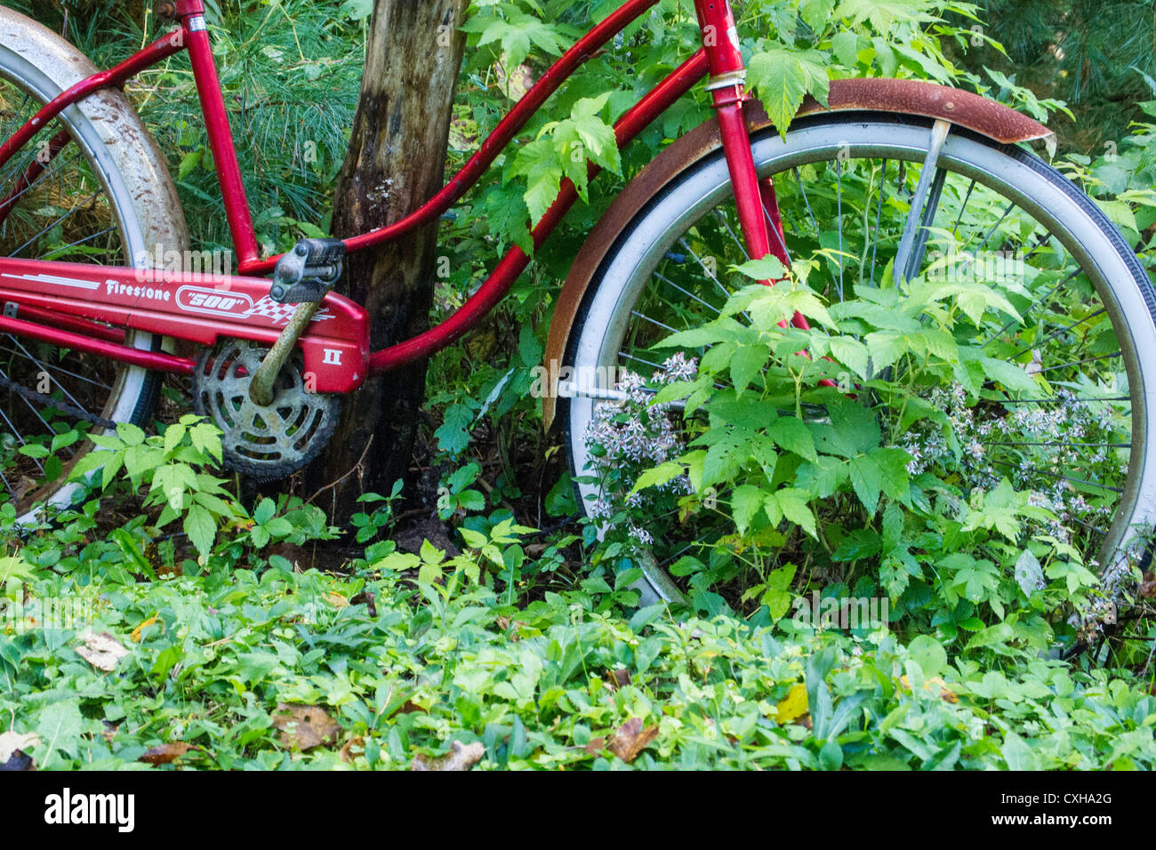 Old Red bicycle cruiser with chrome fenders Stock Photo Alamy