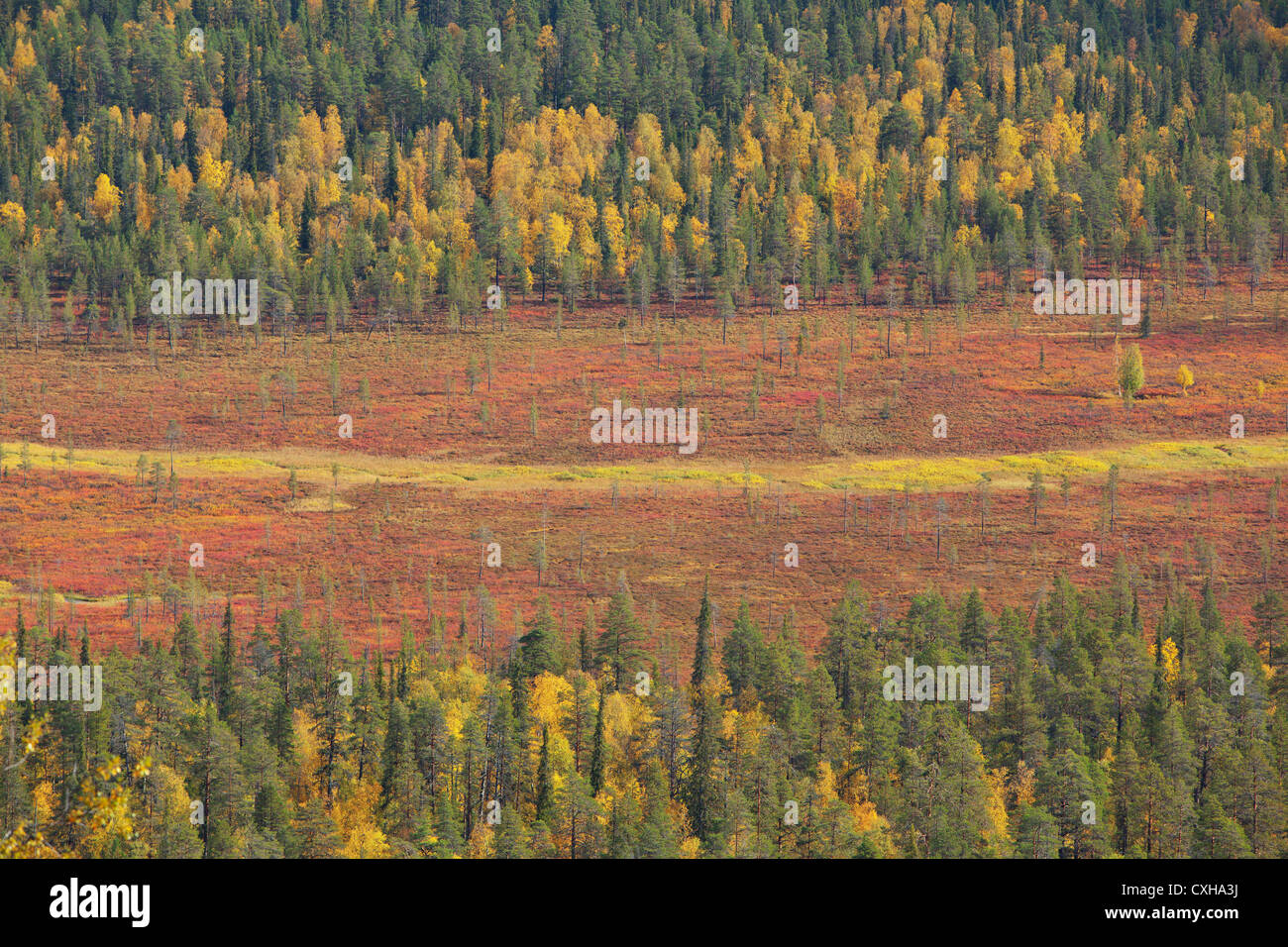 Landscape in autumn colors, seen from the top of Naltiotunturi hill. Lapland, Finland Stock Photo