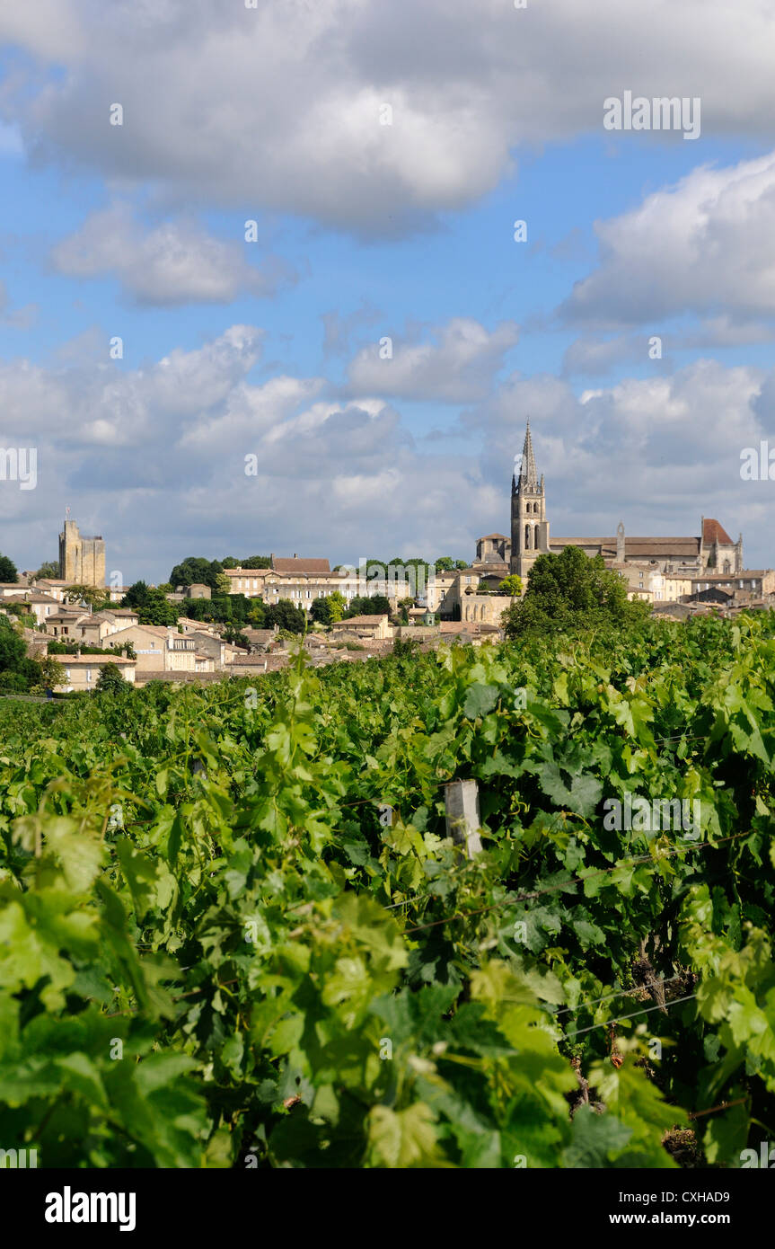 Village and vineyard of Saint-Emilion. Gironde. France. Europe. Stock Photo