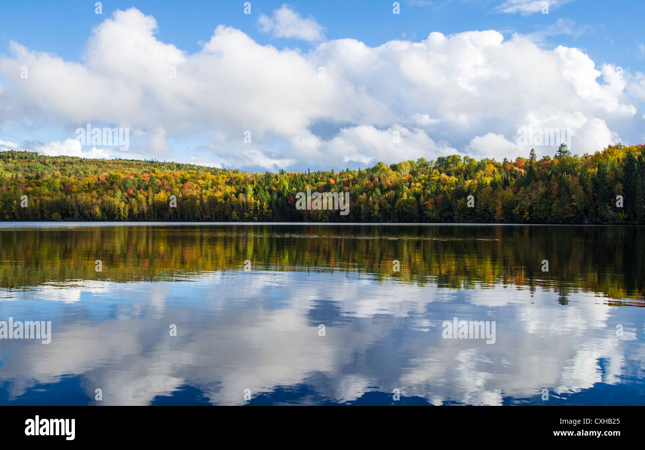 Fall colours along the St. John River in New Brunswick Canada Stock Photo