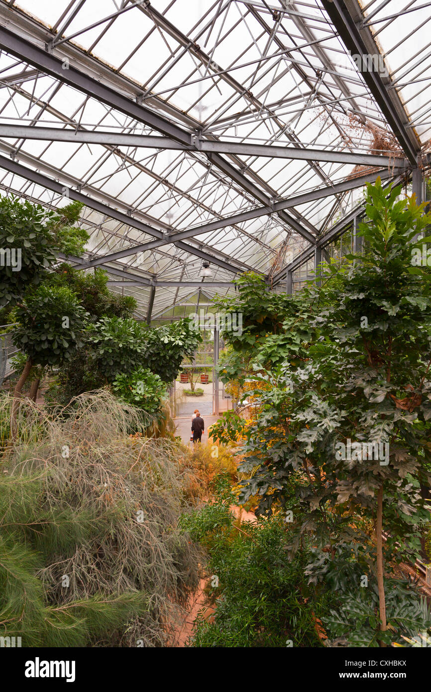Amsterdam Hortus Botanicus (botanical garden) inside greenhouses