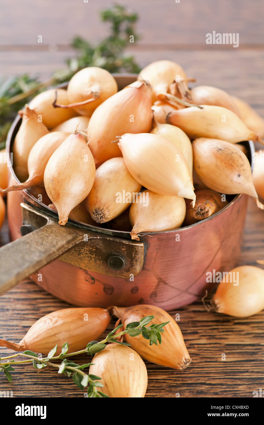 Pearl Onion Shallots Stock Photo Alamy