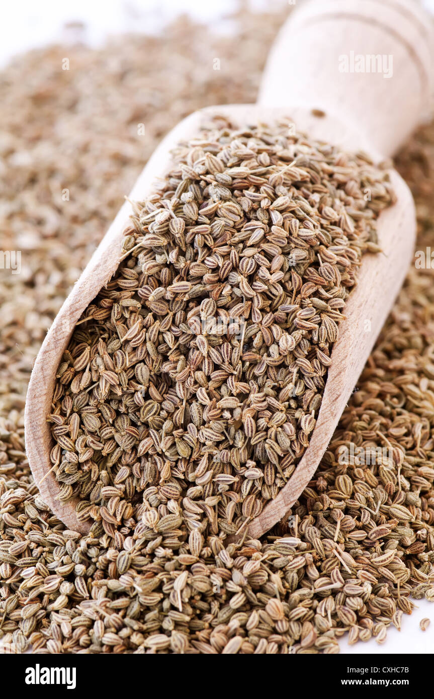 Ajowan hires stock photography and images Alamy