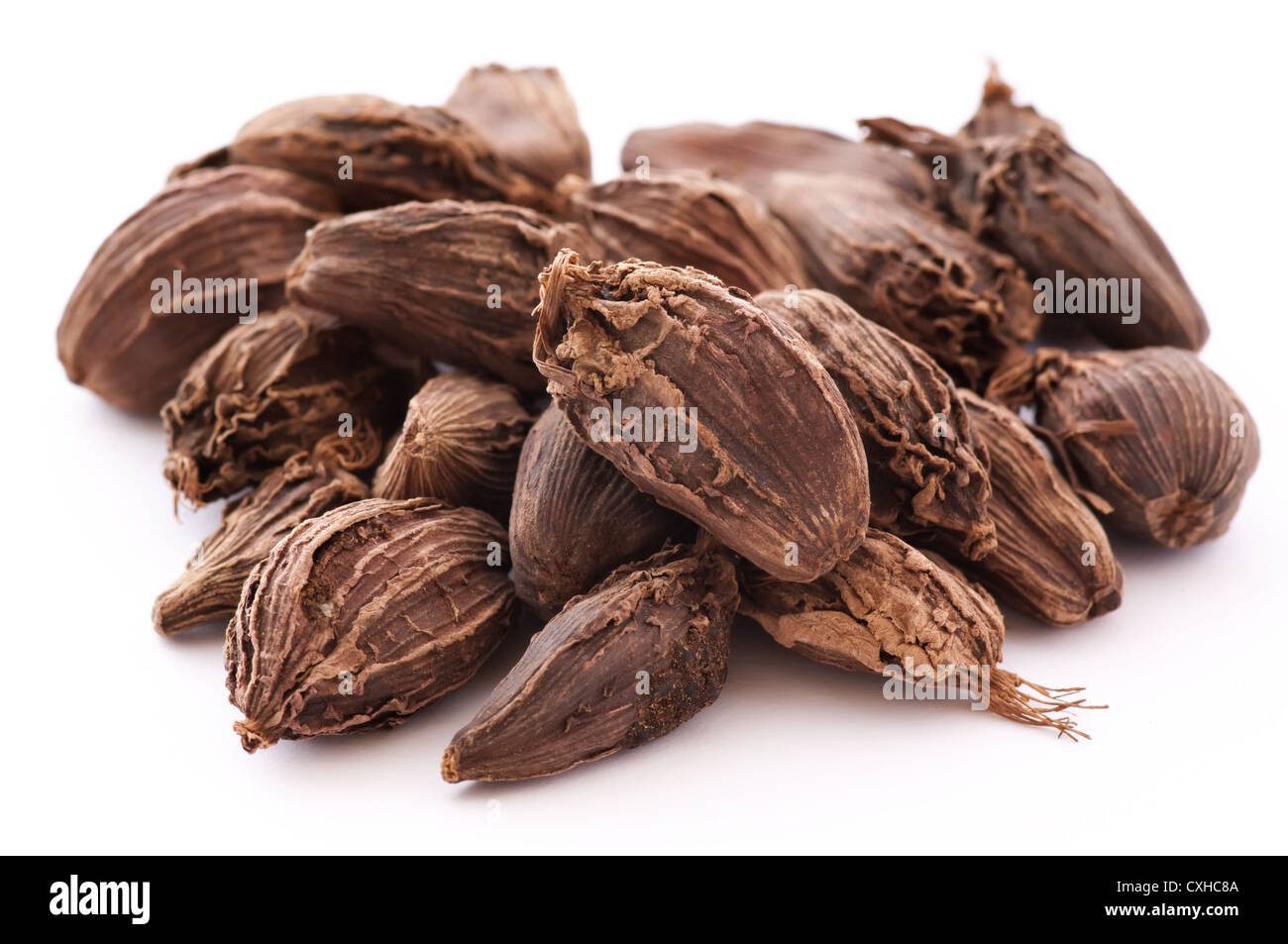 Black cardamom store in hindi