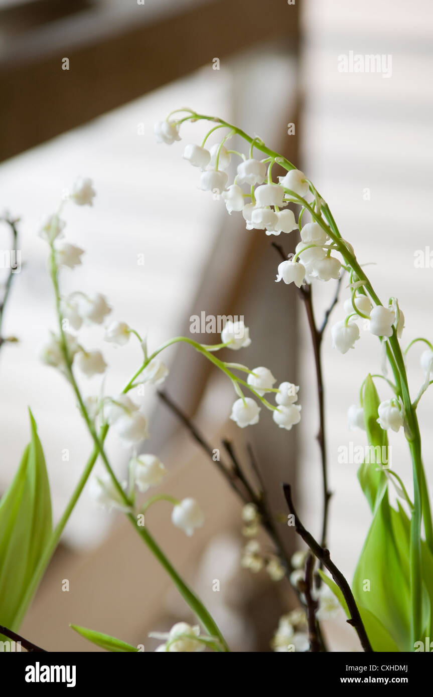 Belgravia home in classic English style Stock Photo