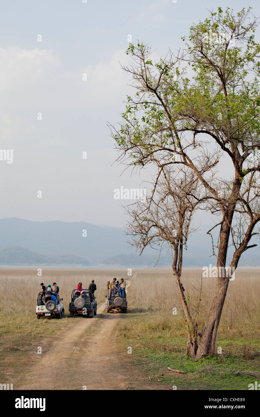 Tourists trying to spot a tiger in Dhikala area in Jim Corbett Tiger Reserve, India. Stock Photo