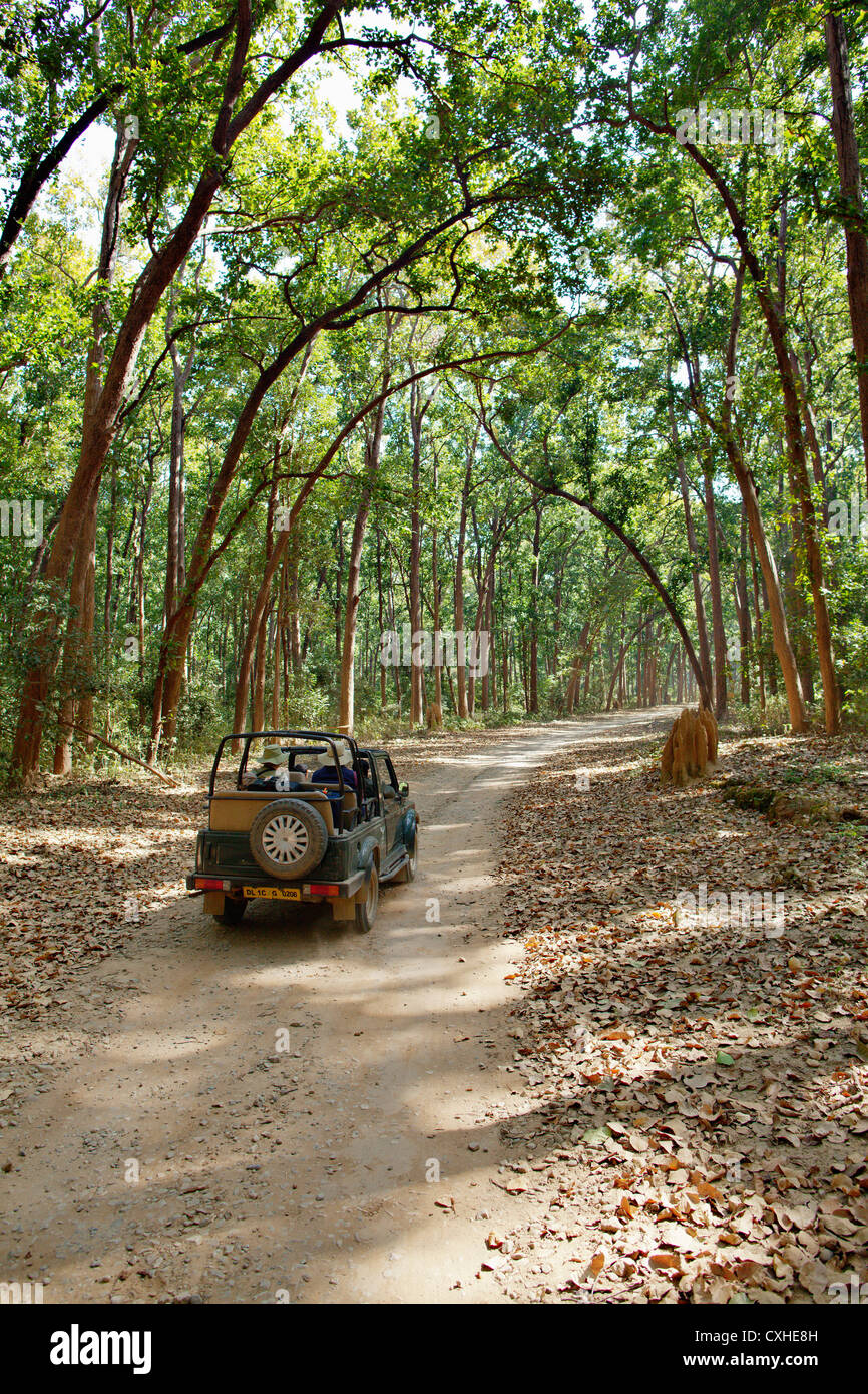Tourist jeep in Dhikala area in Jim Corbett Tiger Reserve, India. Stock Photo