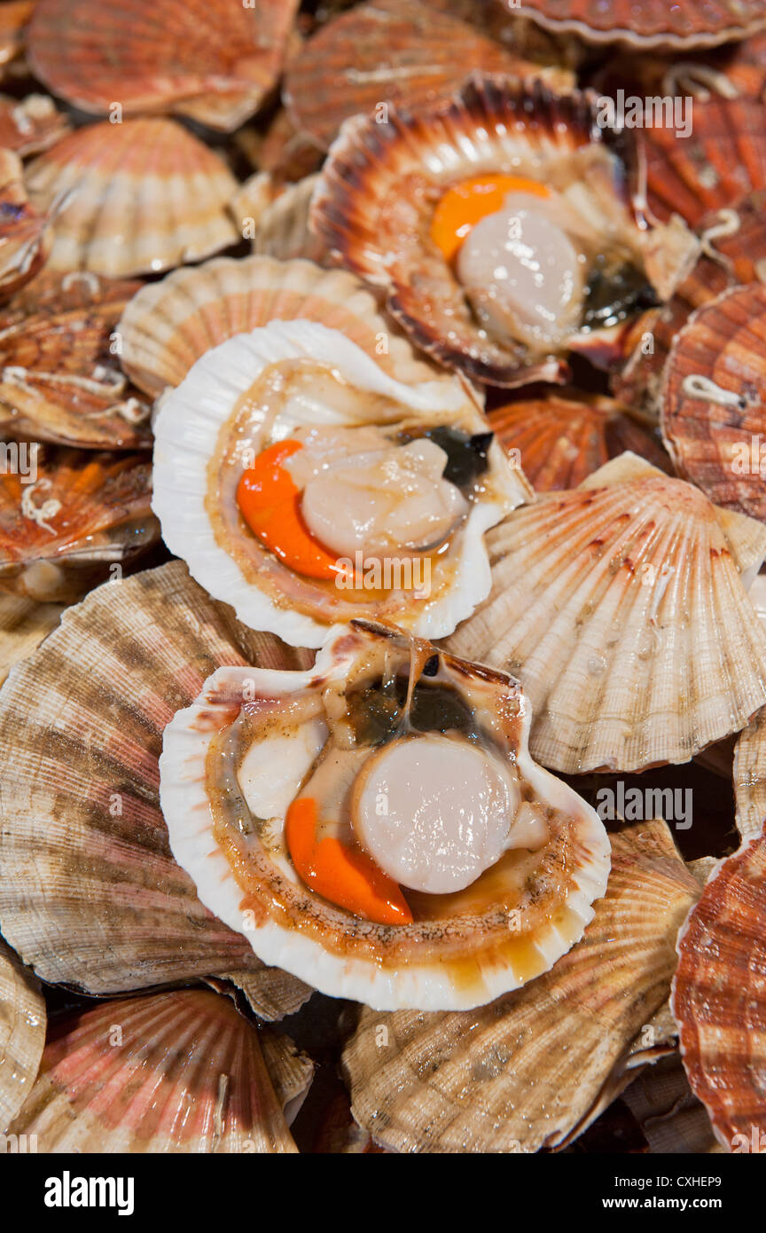 fresh scallops at fish market Stock Photo Alamy