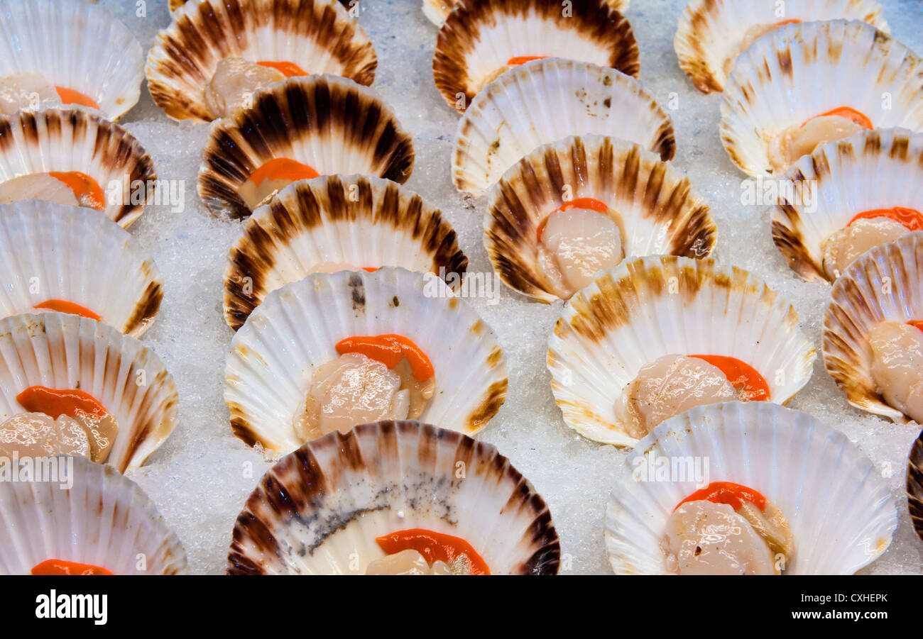 fresh scallops at fish market Stock Photo Alamy