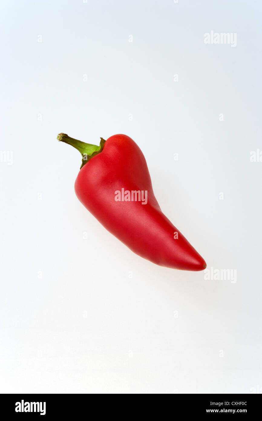 Red chilli pepper on white background Stock Photo