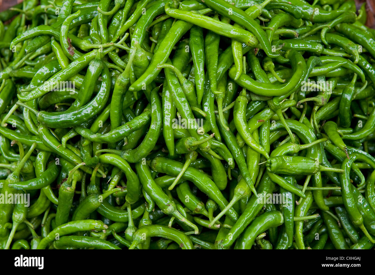 Hottest Chillies High Resolution Stock Photography and Images - Alamy