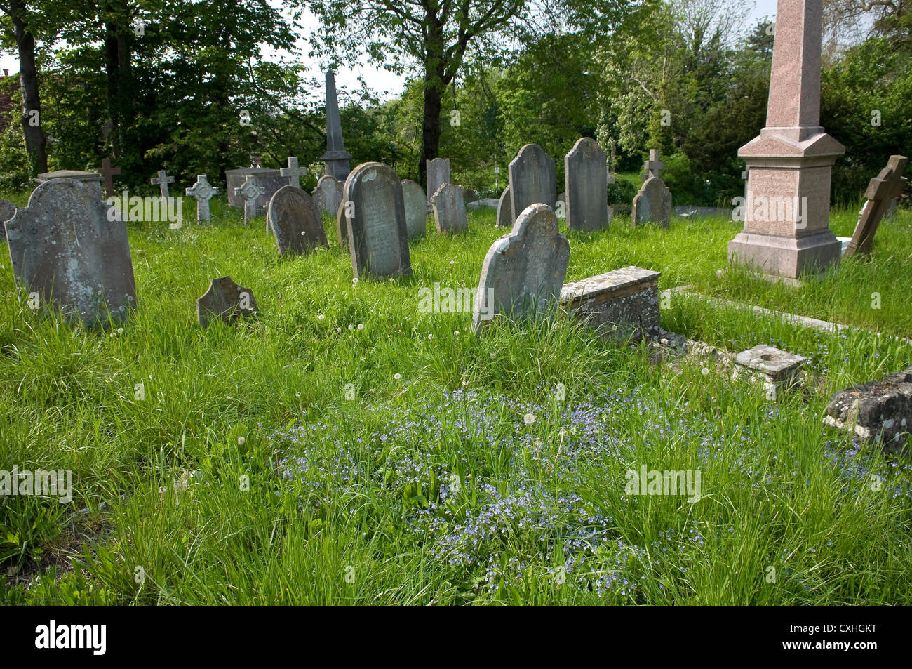 Graveyard of The church of St Andrew and St Cuthman, Steyning, West