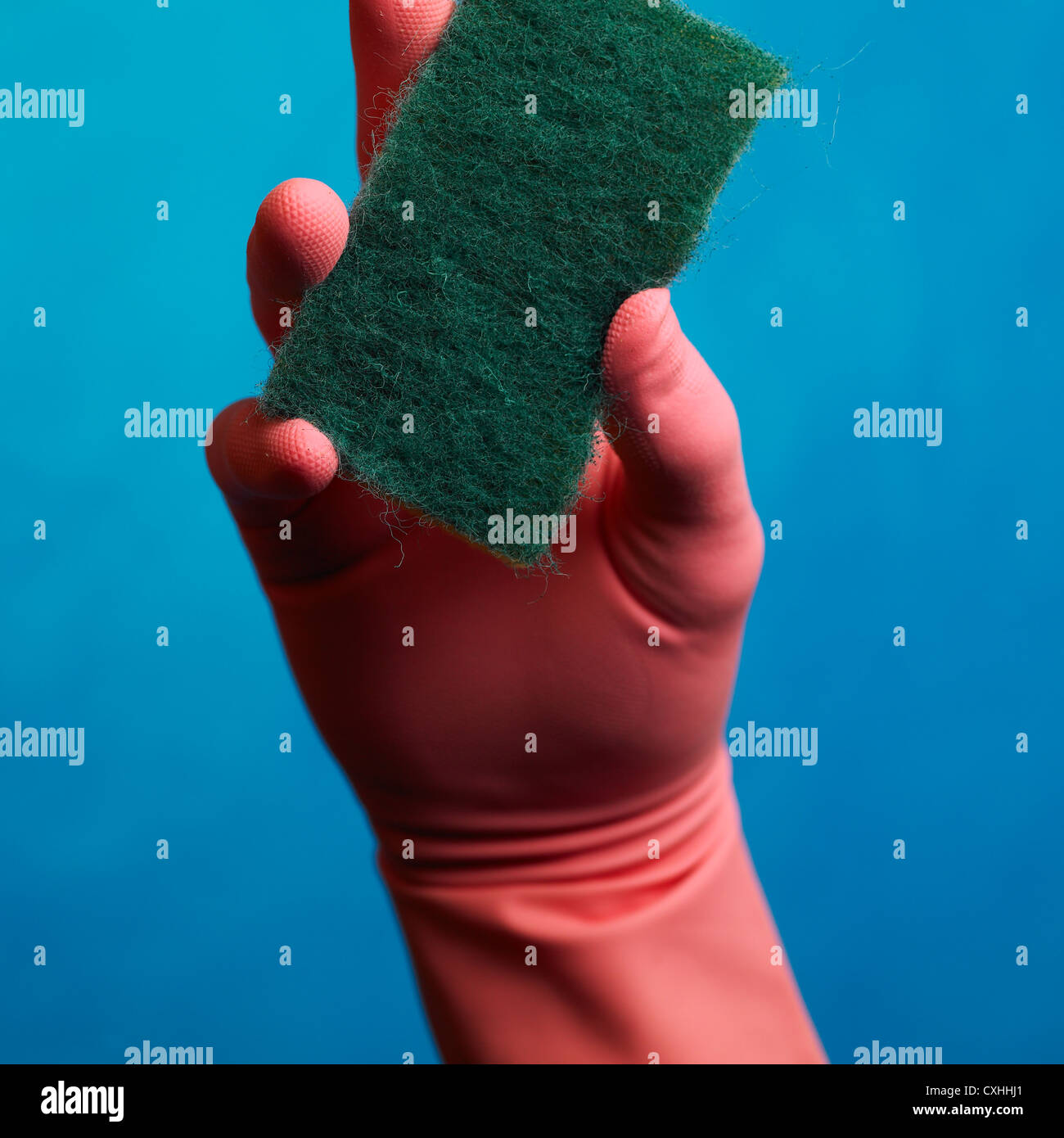 Hand in pink household glove holding green plastic scouring pad Stock