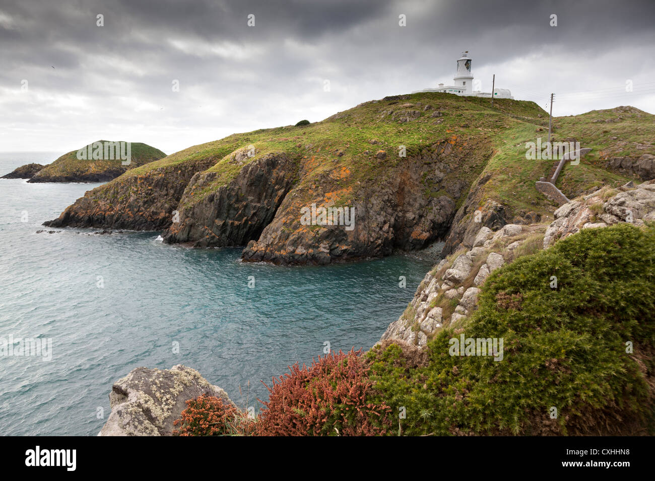 Houses For Sale In Strumble Head at Brandon Wales blog