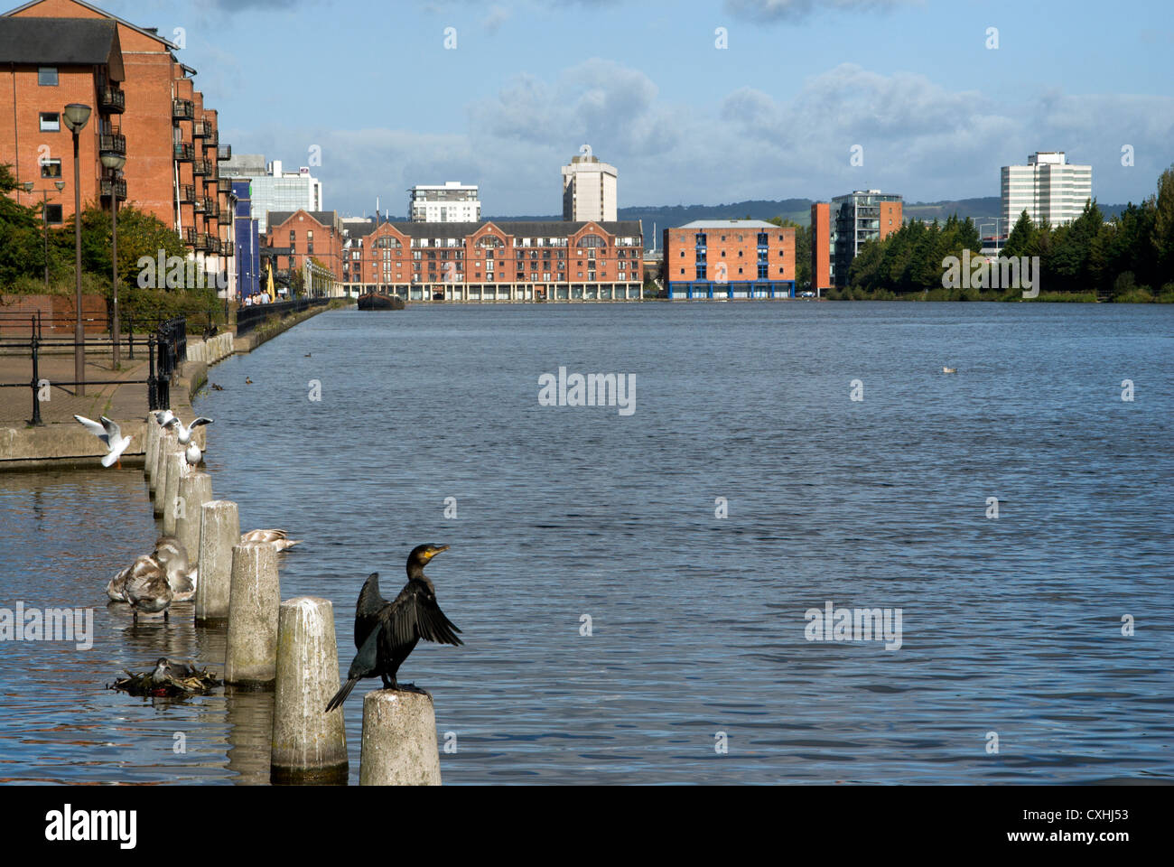 Atlantic Wharf Cardiff – A new future for Cardiff's Atlantic Wharf