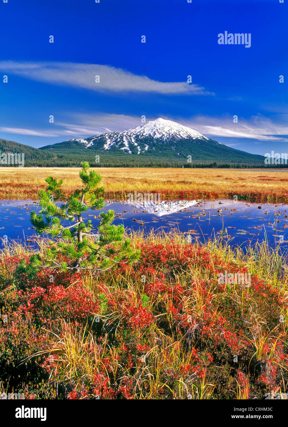Huckleberry lake hi-res stock photography and images - Alamy