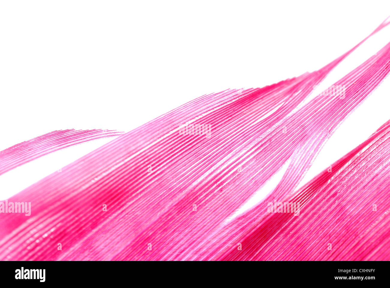 red feather abstract texture background Stock Photo