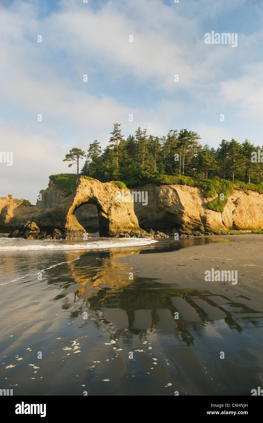 Seastacks, Pacific Coast, Quinault Indian Reservation, Olympic Peninsula, Washington Stock Photo