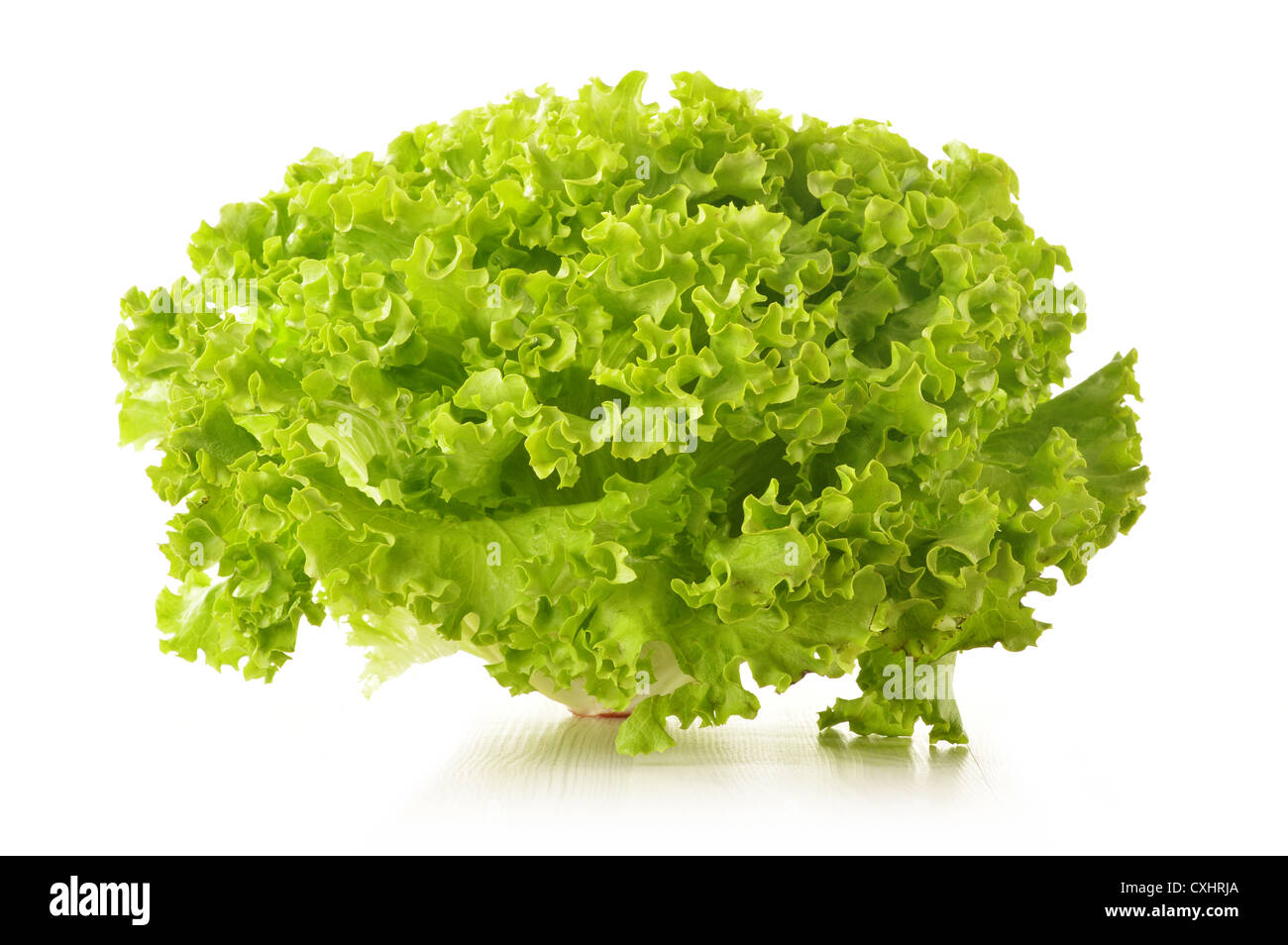Green leaves lettuce isolated on white background Stock Photo Alamy