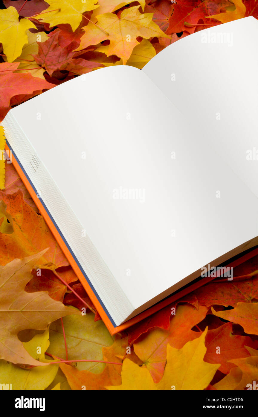 Open book on autumn leaves Stock Photo - Alamy
