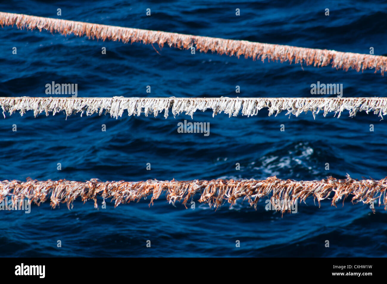 lead in cables of a seismic vessel towing streamers at ocean looking