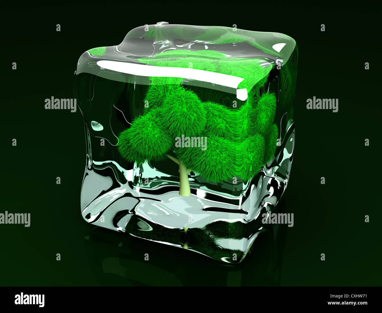 A frozen Tree in an Ice Cube Stock Photo - Alamy