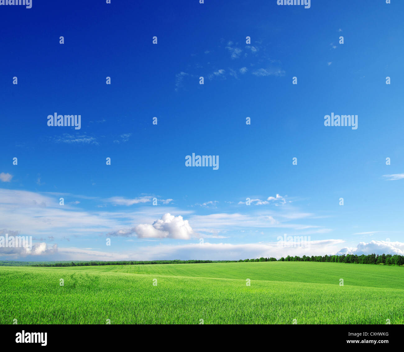 green field and blue sky Stock Photo Alamy