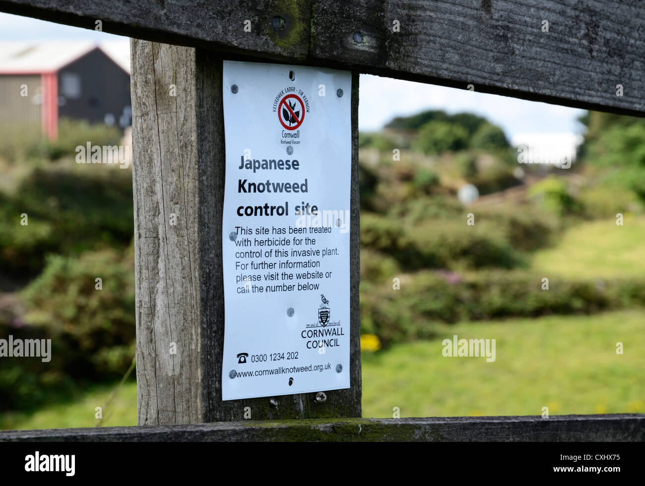 A Japanese Knotweed control site sign near Redruth in Cornwall, UK Stock Photo