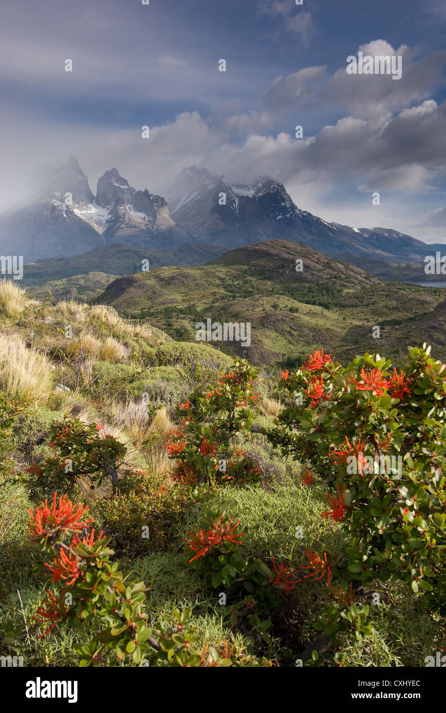 Elk198-4392v Chile, Patagonia, Torres del Paine NP, Cuernos massif from above Lago Pehoe, Andes Stock Photo