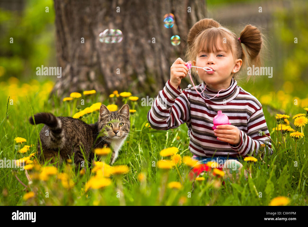 Funny lovely little girl and a cat, blowing soap bubbles Stock Photo ...