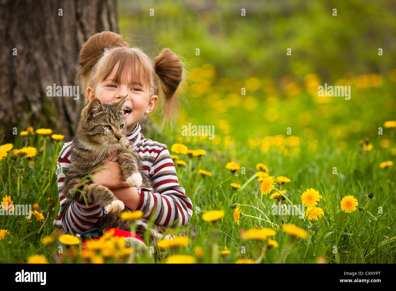 Funny lovely little girl playing with a cat Stock Photo - Alamy
