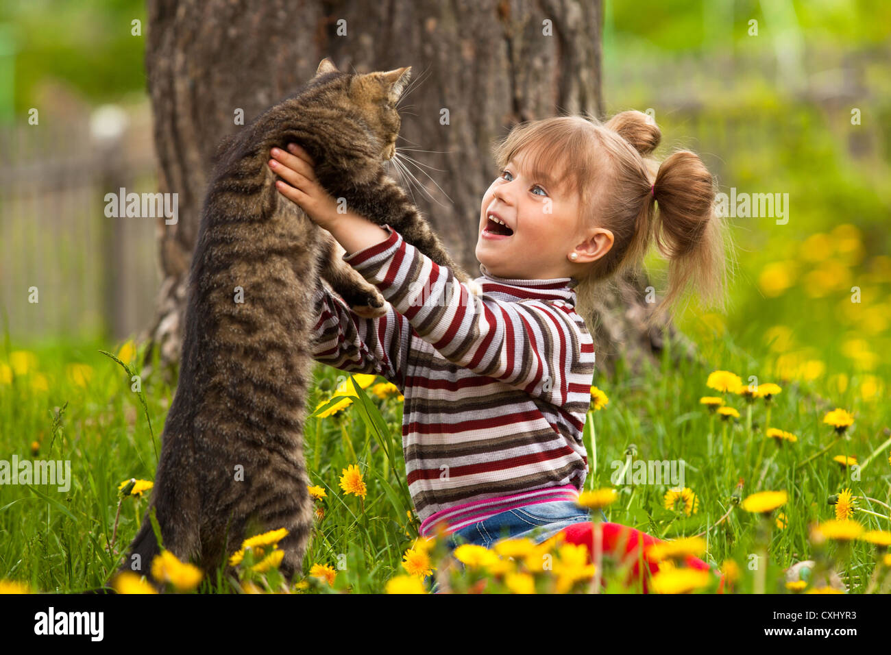 Funny lovely little girl playing with a cat Stock Photo - Alamy