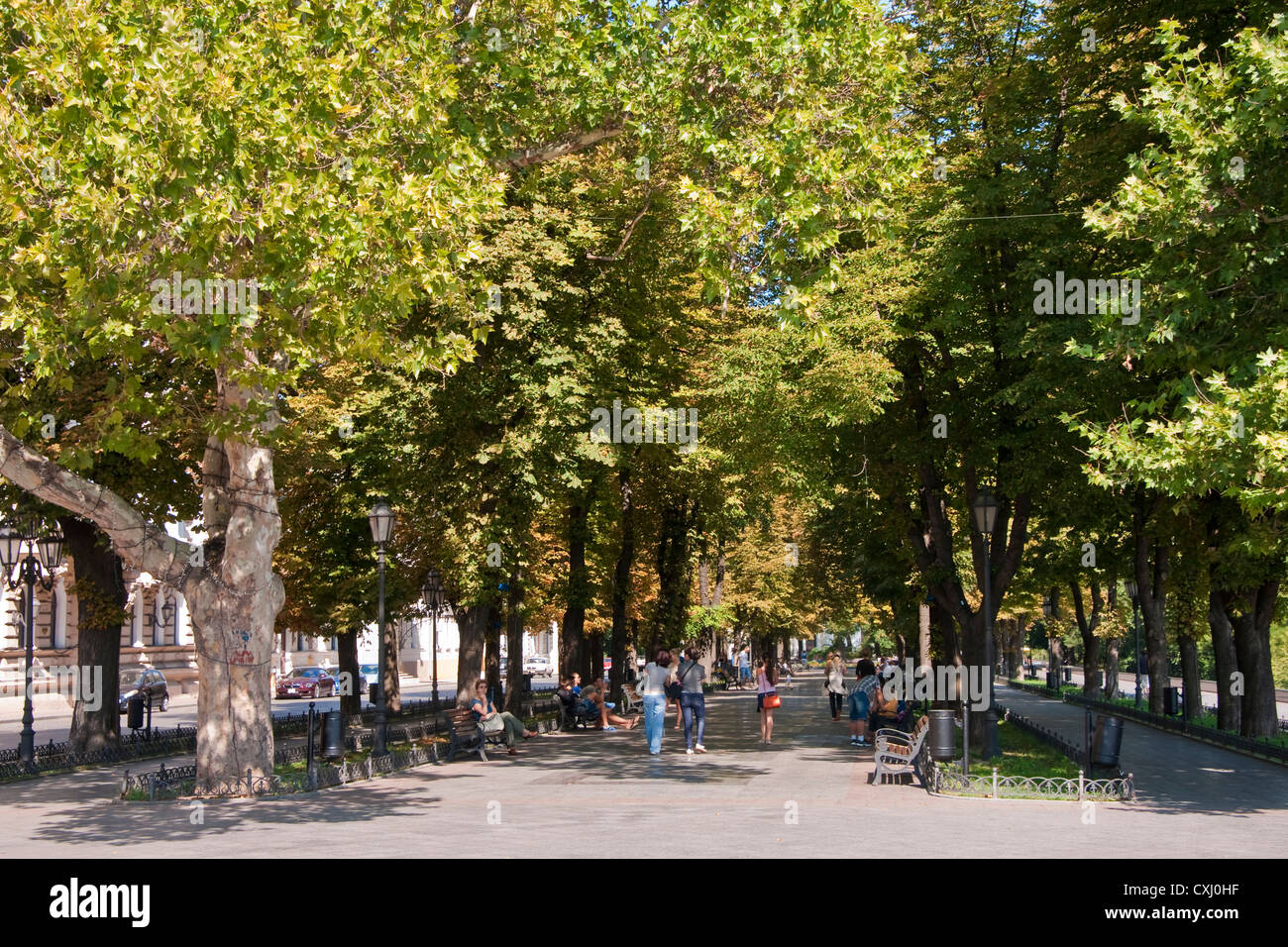 Tree lined walkways along Prymors'ka Street near harbor in Odessa, Ukraine. Stock Photo