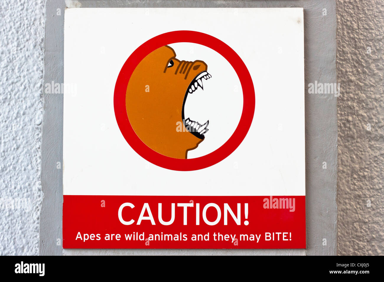 No feed apes notice on the Rock of Gibraltar. Stock Photo