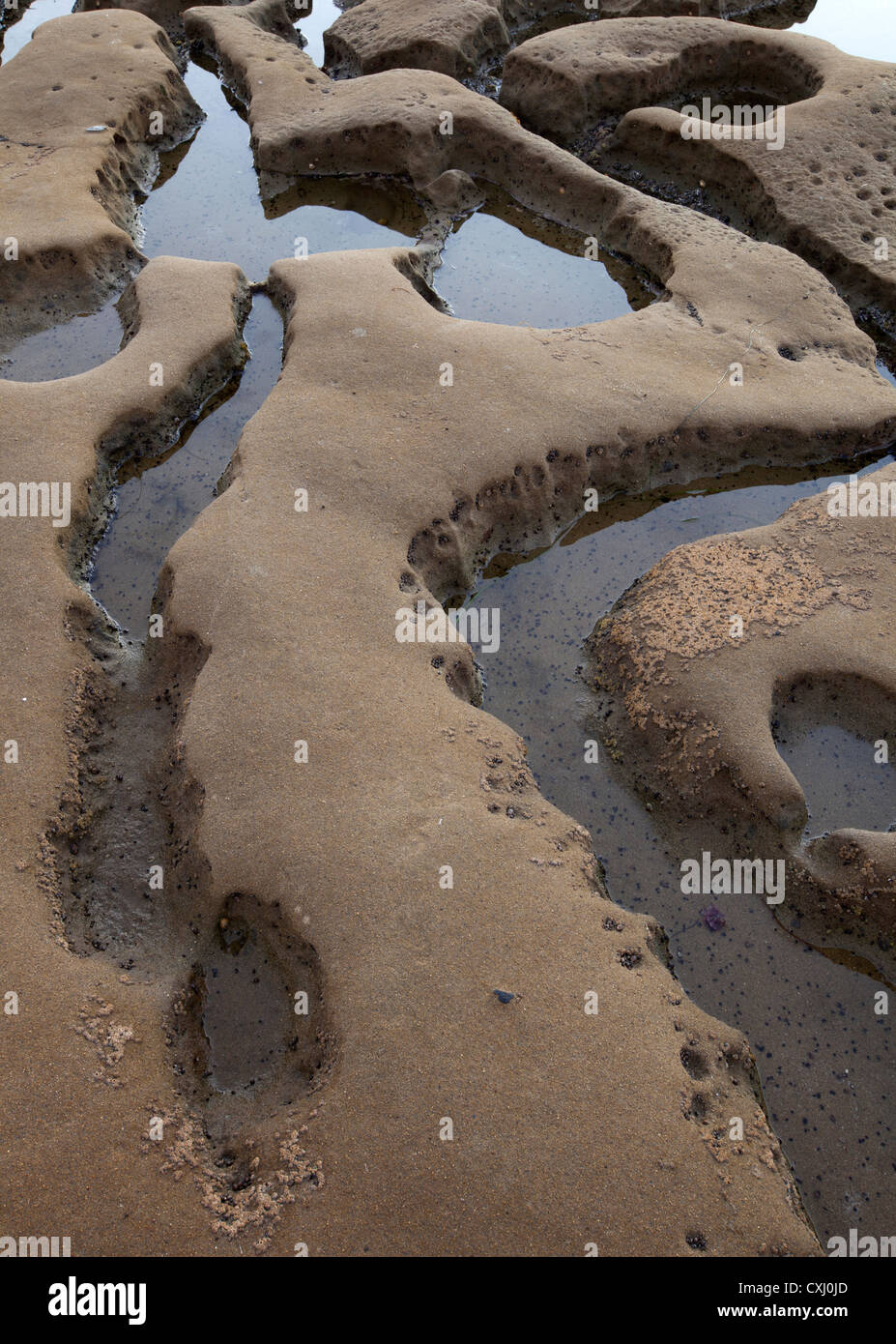 Erosion Patterns on rocks at Beach Stock Photo