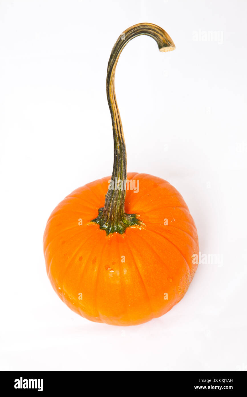 A Halloween pumpkin isolated on a white background Stock Photo