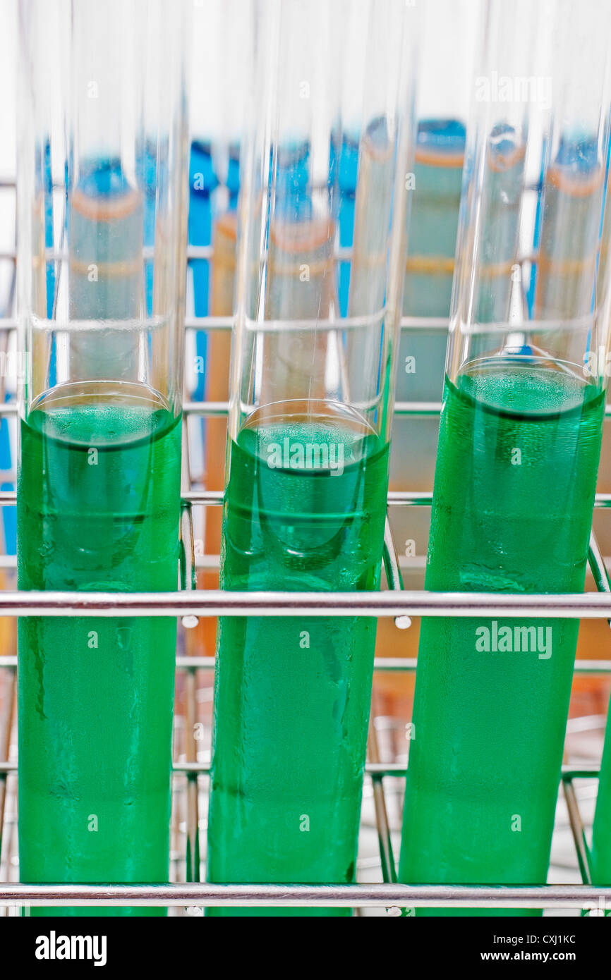 seeding process in a food testing laboratory proceso de siembra en un laboratorio de analisis de alimentos Stock Photo